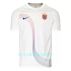 Norge Bortetrøye 2022-23