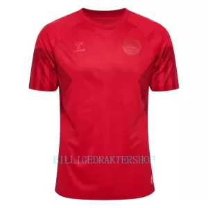 Danmark Hjemmetrøye VM 2022