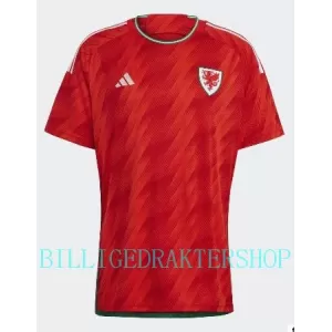 Wales Hjemmetrøye VM 2022