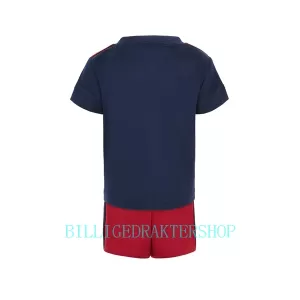 Ajax Amsterdam Bortetrøye Barn 2022-23