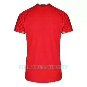 Iran Bortetrøye VM 2022