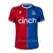 Crystal Palace Hjemmetrøye 2023/2024