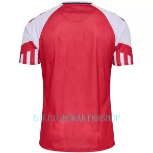 Danmark Hjemmetrøye 2023