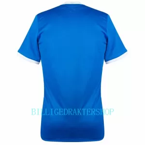 Hellas Bortetrøye 2023/2024