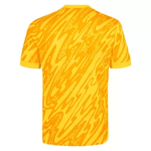 Tottenham Hotspur Målvakt Trøye 2024/2025 Gul