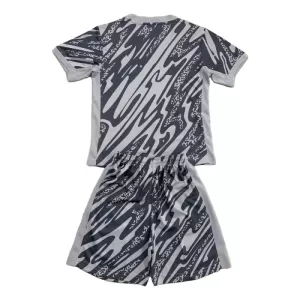 Paris Saint-Germain Målvakt Trøye Barn 2024/2025 Grå