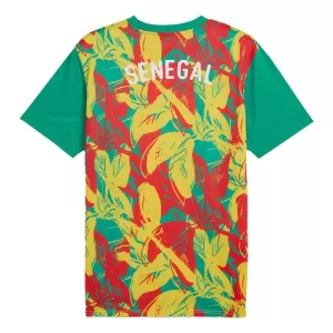 Senegal Pre-Match Trøye 2024/2025