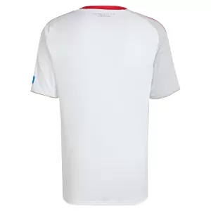 FC Nurnberg Bortetrøye 2025/2026