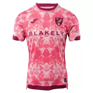 Norwich City Tredjetrøye 2025/2026