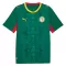 Senegal Bortetrøye VM 2026