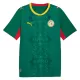 Senegal Bortetrøye VM 2026 Senegal Bortetrøye VM 2026