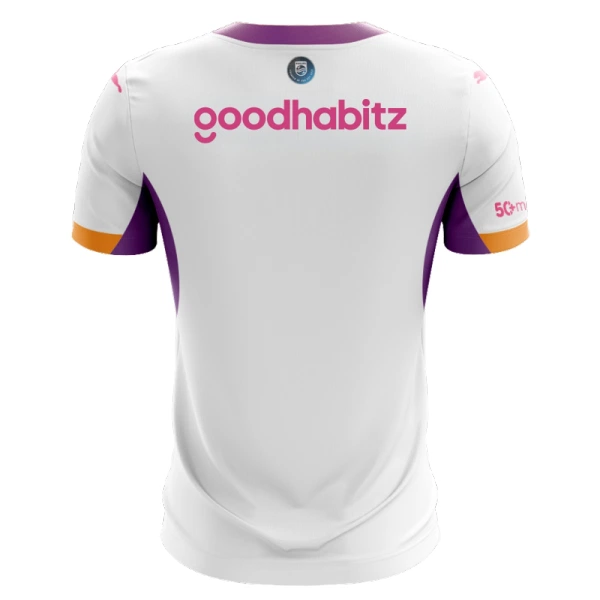 PSV Eindhoven Bortetrøye 2026/2027