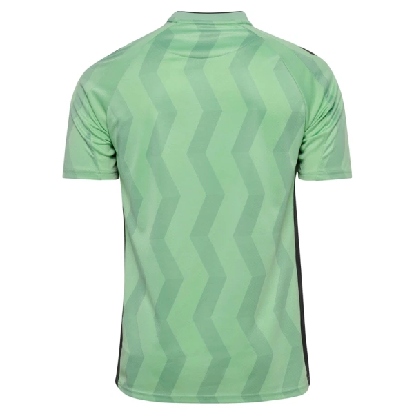 AS Saint-Étienne Tredjetrøye 2026/2027