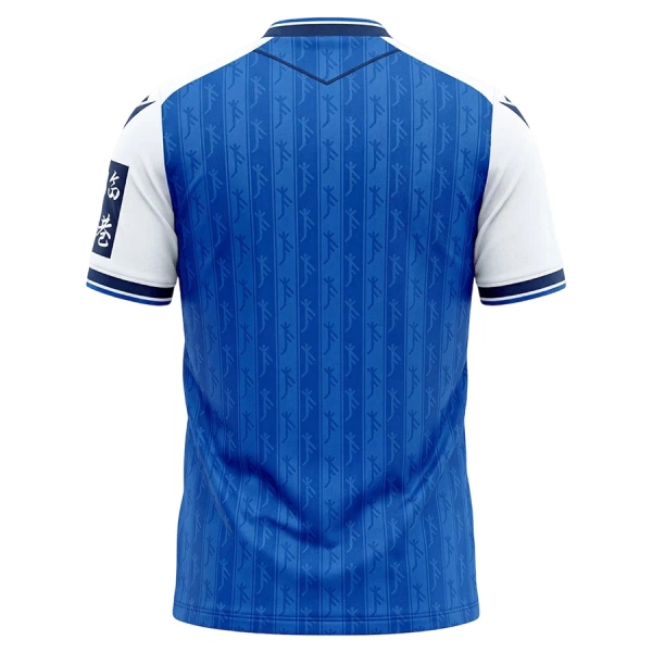 TSG 1899 Hoffenheim Hjemmetrøye 2026/2027