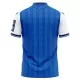 TSG 1899 Hoffenheim Hjemmetrøye 2026/2027